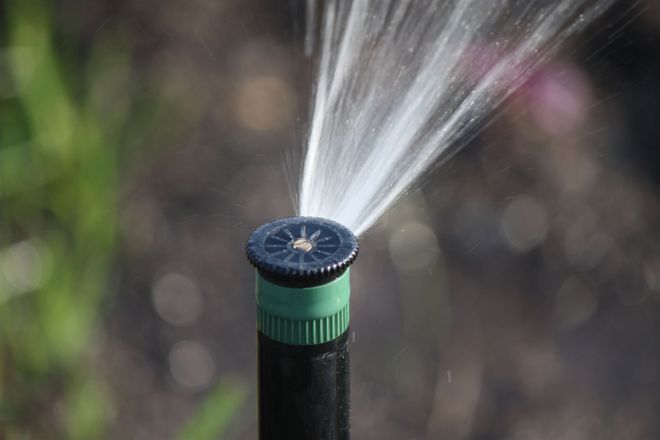 Парк Ленінського Комсомолу, фото 32